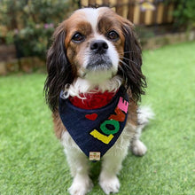 Load image into Gallery viewer, Love