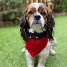 Load image into Gallery viewer, Love