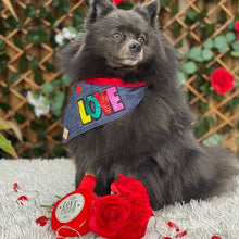 Load image into Gallery viewer, Love