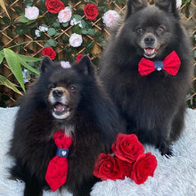 Load image into Gallery viewer, Love Bowtie