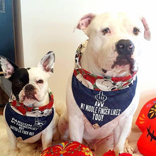 Load image into Gallery viewer, Pardon my french(ie)