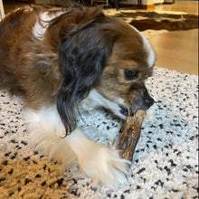 Load image into Gallery viewer, Kangaroo Tail Tips