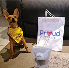 Load image into Gallery viewer, Gidget is wearing a custom extra small