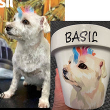 Load image into Gallery viewer, Personalised Flowerpot