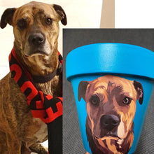 Load image into Gallery viewer, Personalised Flowerpot