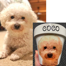 Load image into Gallery viewer, Personalised Flowerpot