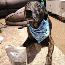 Load image into Gallery viewer, Don't worry bee happy