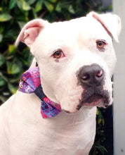 Load image into Gallery viewer, Fantasy Bowtie