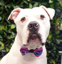 Load image into Gallery viewer, Fantasy Bowtie