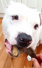 Load image into Gallery viewer, Goat horns