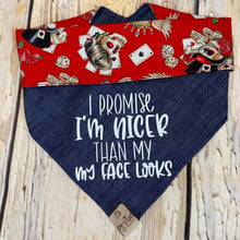 Load image into Gallery viewer, I really am nice!