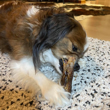 Load image into Gallery viewer, Kangaroo Tail Tips