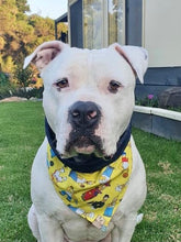 Load image into Gallery viewer, The Destroyer