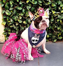 Load image into Gallery viewer, Skulls and Hot pink