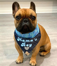 Load image into Gallery viewer, Busta is wearing size medium