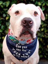 Load image into Gallery viewer, Deuce is wearing size large