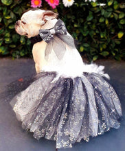 Load image into Gallery viewer, Wild Daisy's