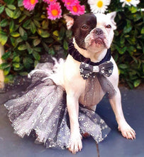 Load image into Gallery viewer, Wild Daisy's