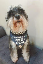 Load image into Gallery viewer, Big Deal