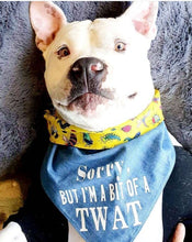 Load image into Gallery viewer, Deuce is wearing size large