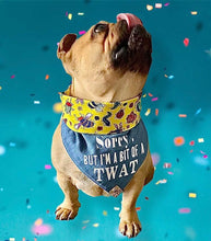 Load image into Gallery viewer, Bruce is wearing a size Medium