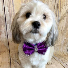 Load image into Gallery viewer, Velvet bowties