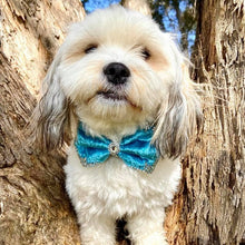 Load image into Gallery viewer, Velvet bowties