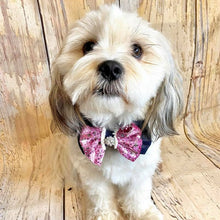 Load image into Gallery viewer, Denim with silver stars bow tie