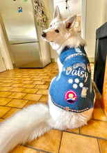 Load image into Gallery viewer, Make your own denim vest - Home Kit