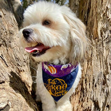 Load image into Gallery viewer, Halloween - Fab BOO lous