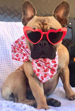 Load image into Gallery viewer, Brittney is wearing the Mega bow size