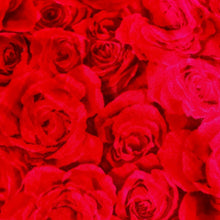 Load image into Gallery viewer, Step 1 - choose your fabric