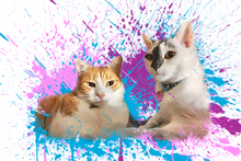 Load image into Gallery viewer, Splatter Digital Art