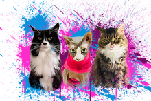 Load image into Gallery viewer, Splatter Digital Art