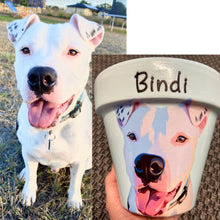 Load image into Gallery viewer, Personalised Flowerpot