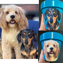 Load image into Gallery viewer, Personalised Flowerpot