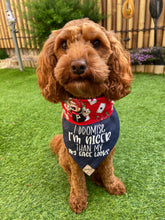 Load image into Gallery viewer, I really am nice!