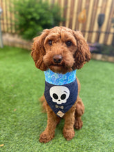 Load image into Gallery viewer, Handsome in blue