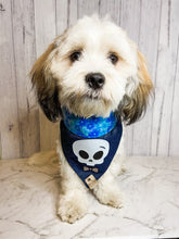 Load image into Gallery viewer, Handsome in blue