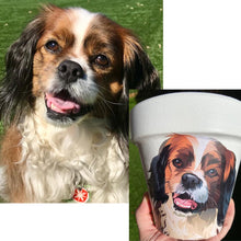 Load image into Gallery viewer, Personalised Flowerpot