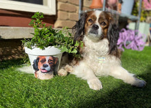 Load image into Gallery viewer, Personalised Flowerpot