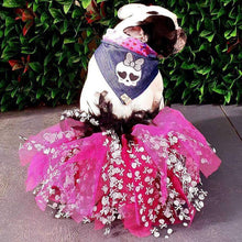 Load image into Gallery viewer, Cinderskella