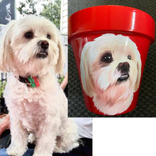 Load image into Gallery viewer, Personalised Flowerpot