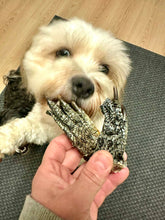 Load image into Gallery viewer, Crocodile Feet 5pk
