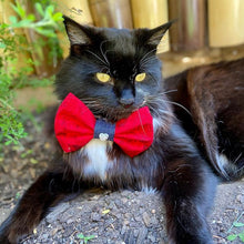 Load image into Gallery viewer, Love Bowtie
