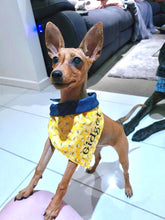 Load image into Gallery viewer, Gidget is wearing a custom extra small
