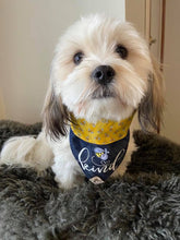 Load image into Gallery viewer, Hardy is wearing a size small
