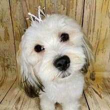 Load image into Gallery viewer, Crown
