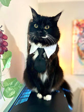 Load image into Gallery viewer, Chaplin is wearing size small
