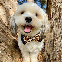 Load image into Gallery viewer, Denim and Leopard bowtie
